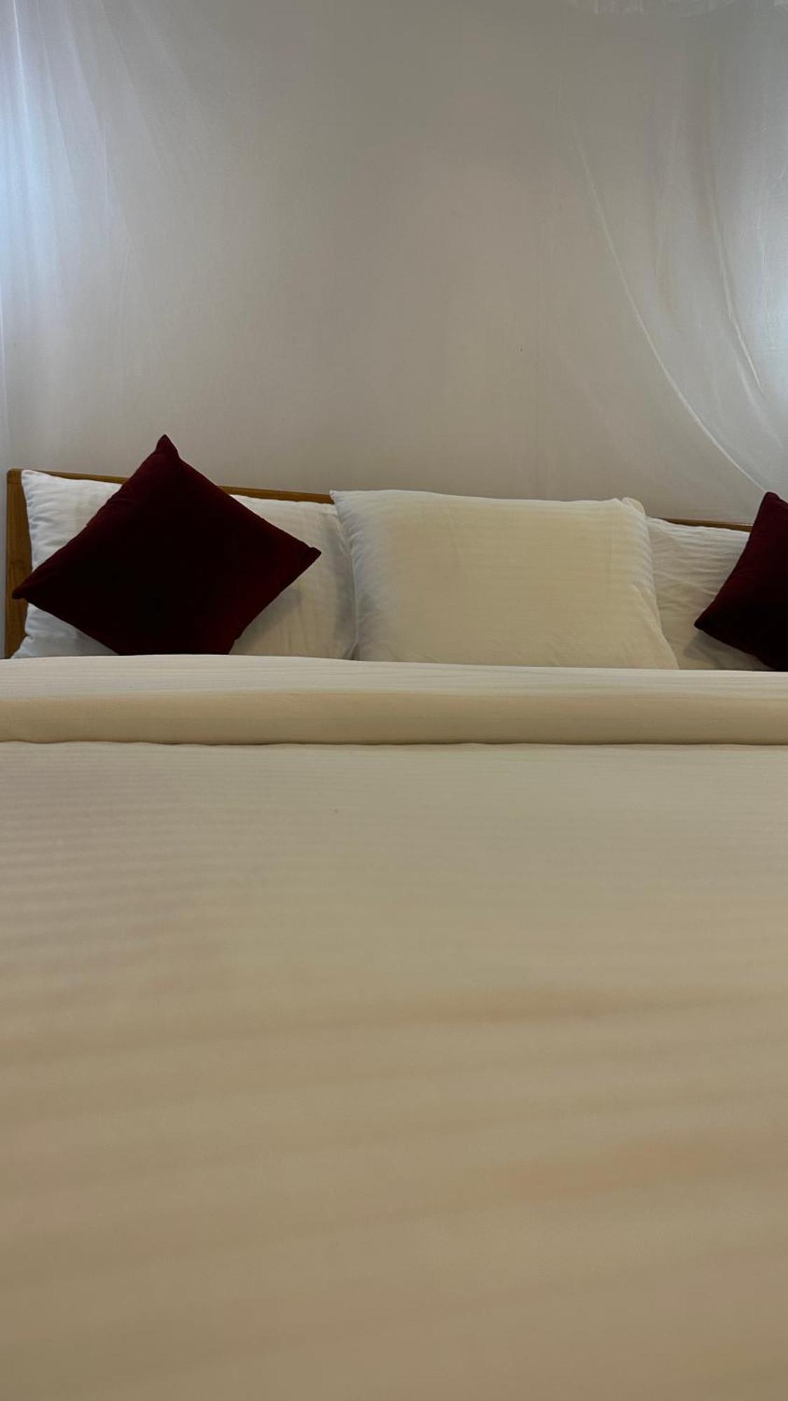 Cinnamon Homestay エッラ エクステリア 写真