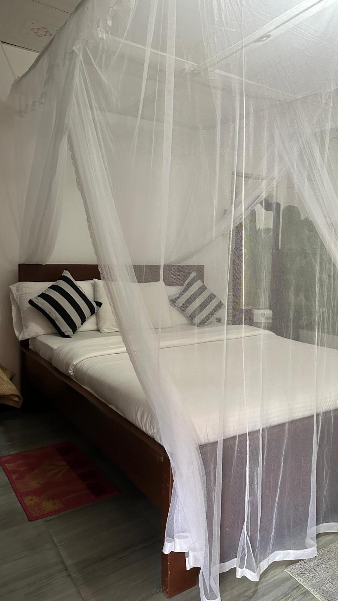 Cinnamon Homestay エッラ エクステリア 写真