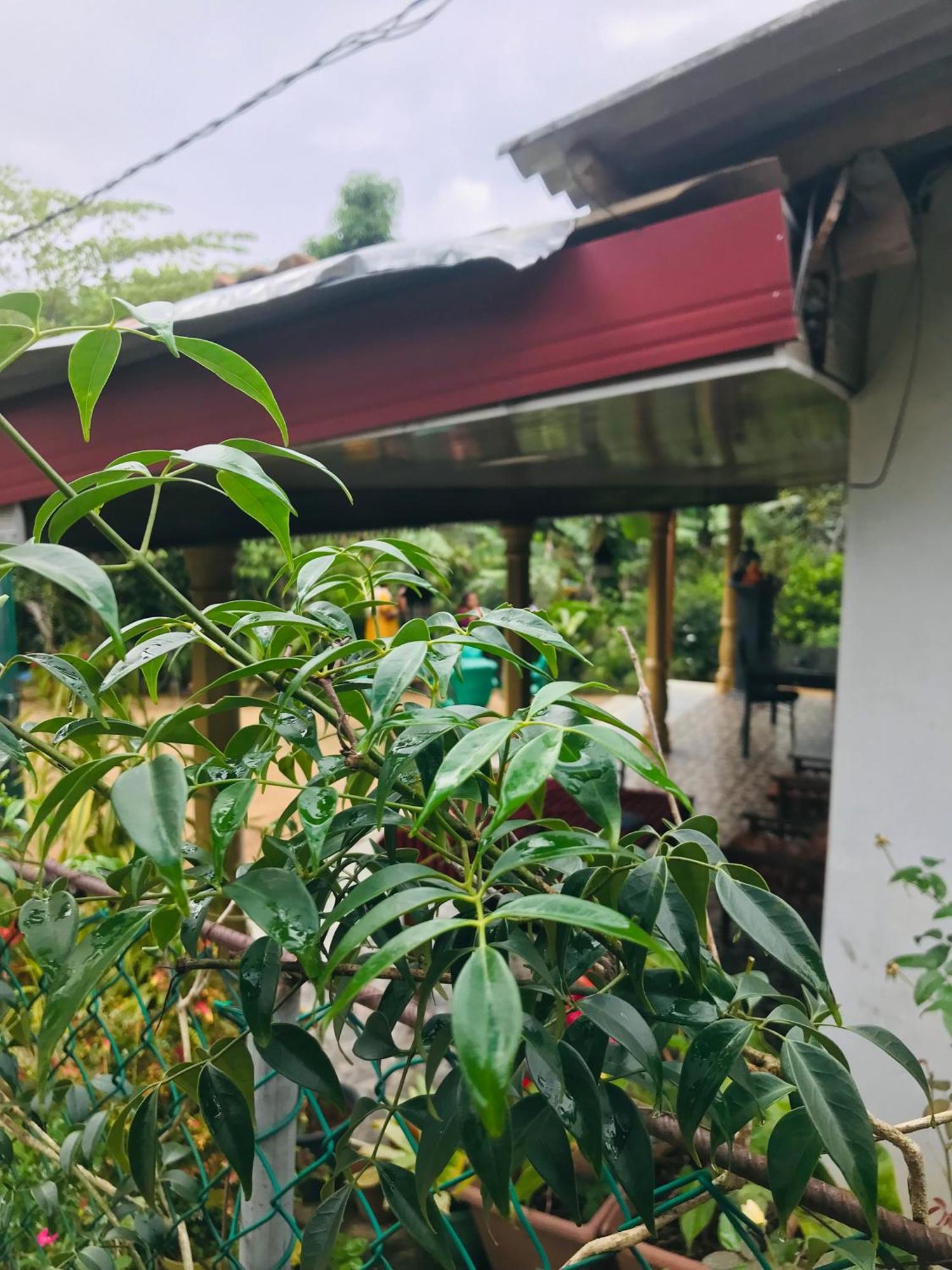 Cinnamon Homestay エッラ エクステリア 写真