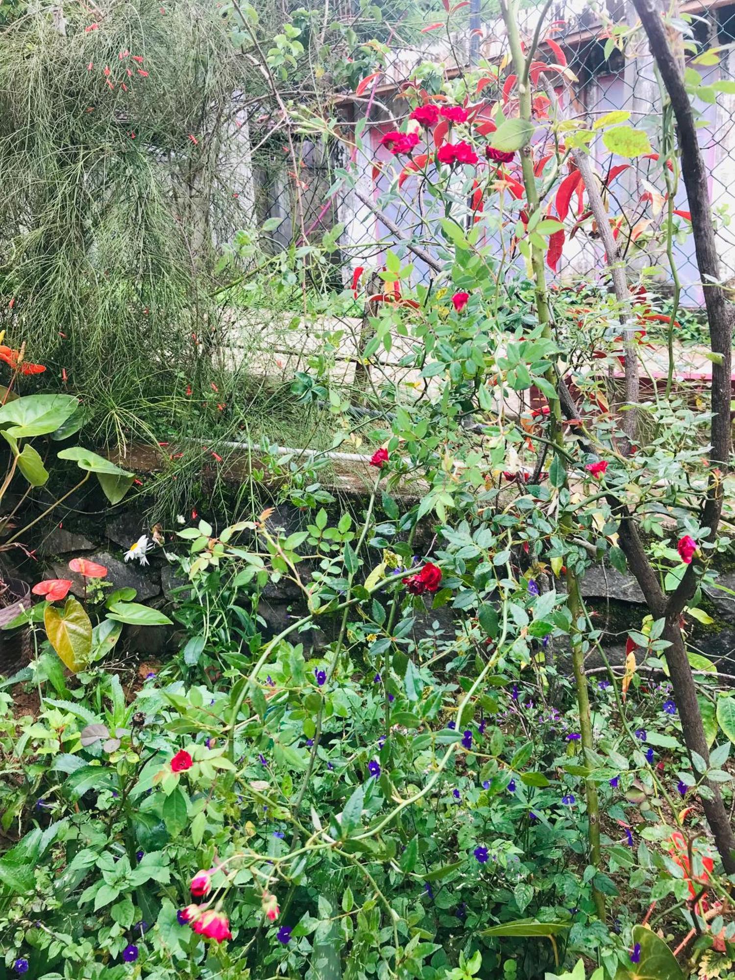 Cinnamon Homestay エッラ エクステリア 写真