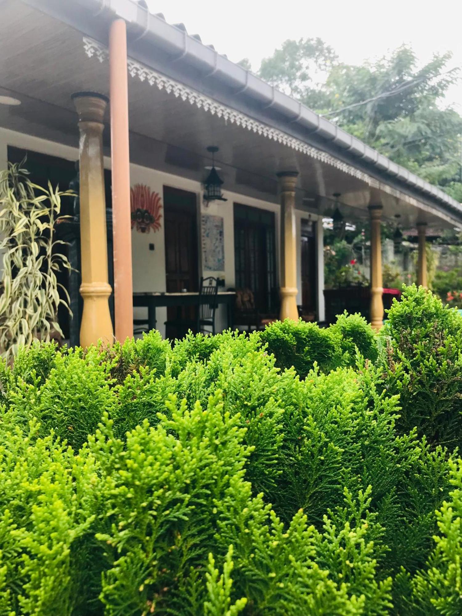 Cinnamon Homestay エッラ エクステリア 写真
