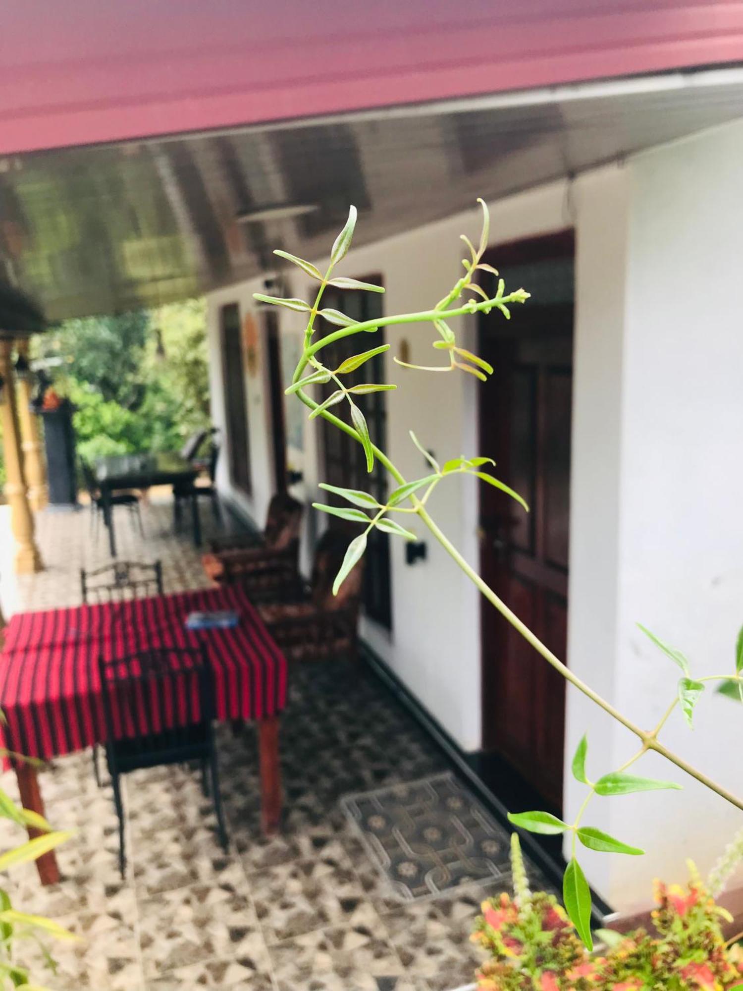 Cinnamon Homestay エッラ エクステリア 写真
