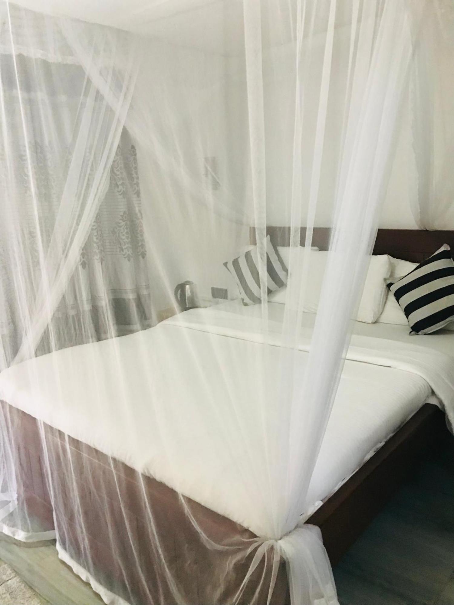 Cinnamon Homestay エッラ エクステリア 写真