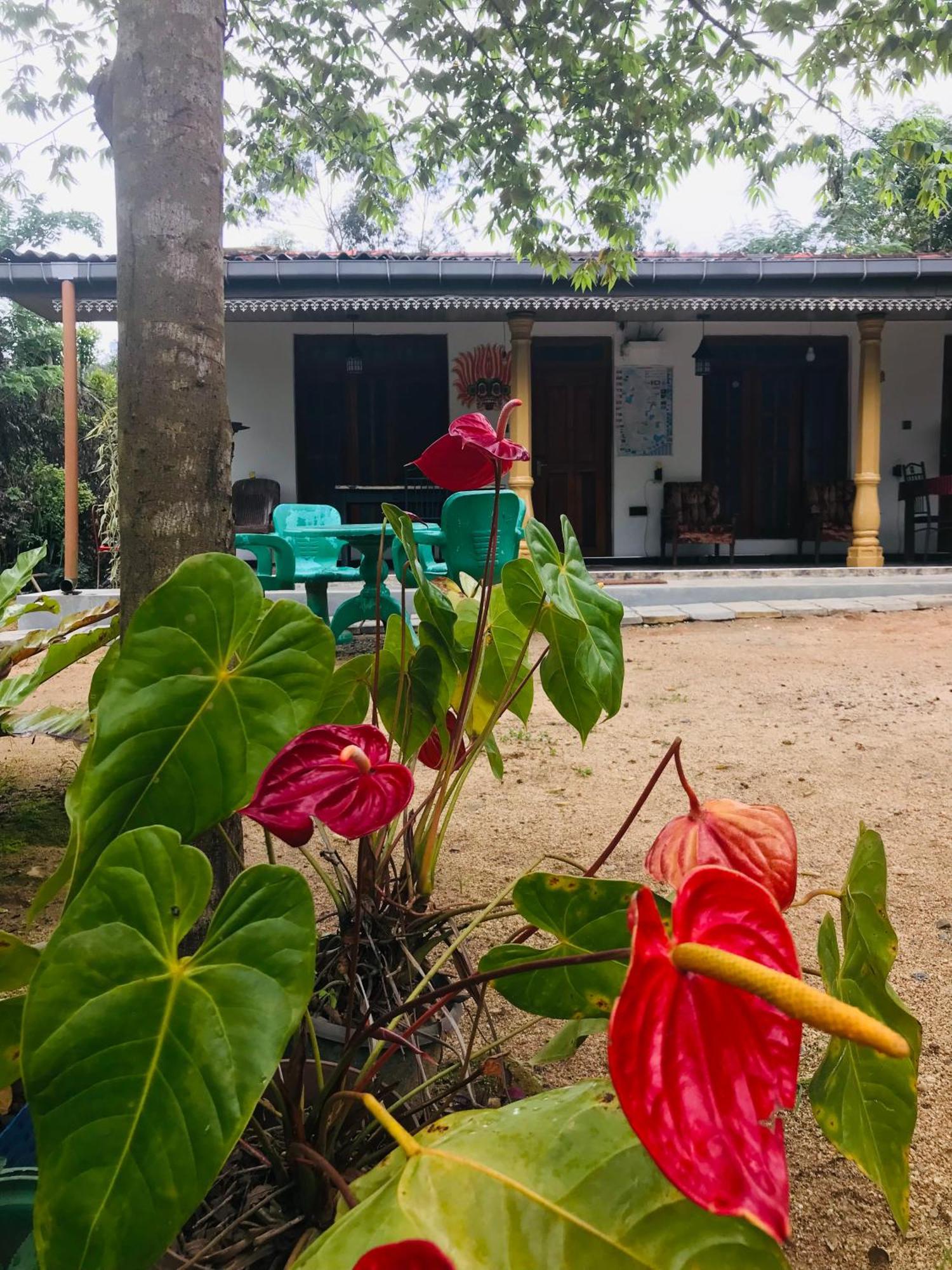 Cinnamon Homestay エッラ エクステリア 写真