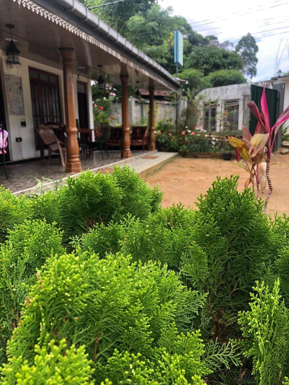 Cinnamon Homestay エッラ エクステリア 写真