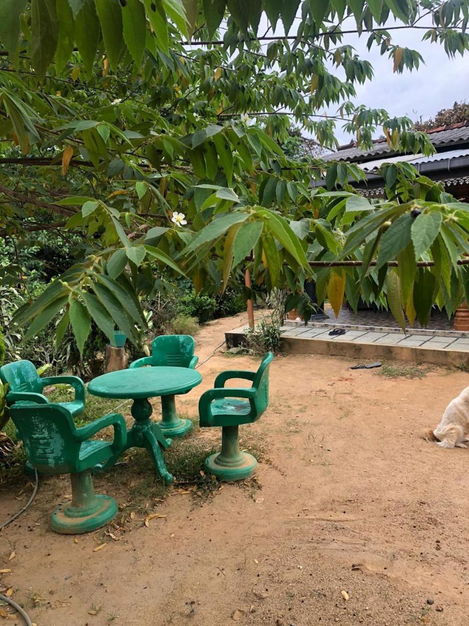 Cinnamon Homestay エッラ エクステリア 写真