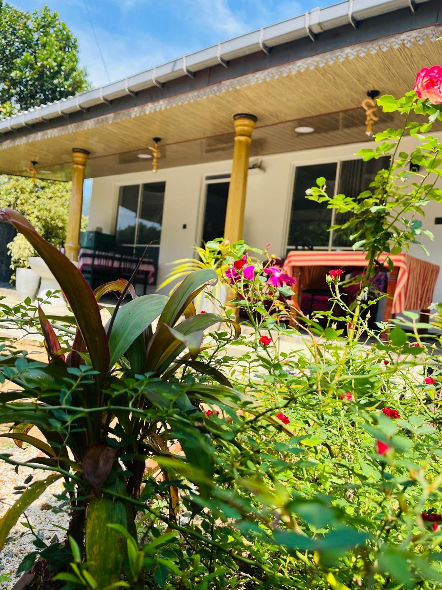 Cinnamon Homestay エッラ エクステリア 写真