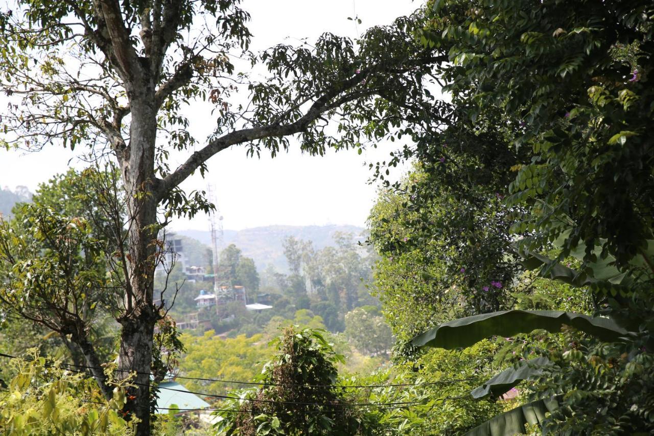 Cinnamon Homestay エッラ エクステリア 写真