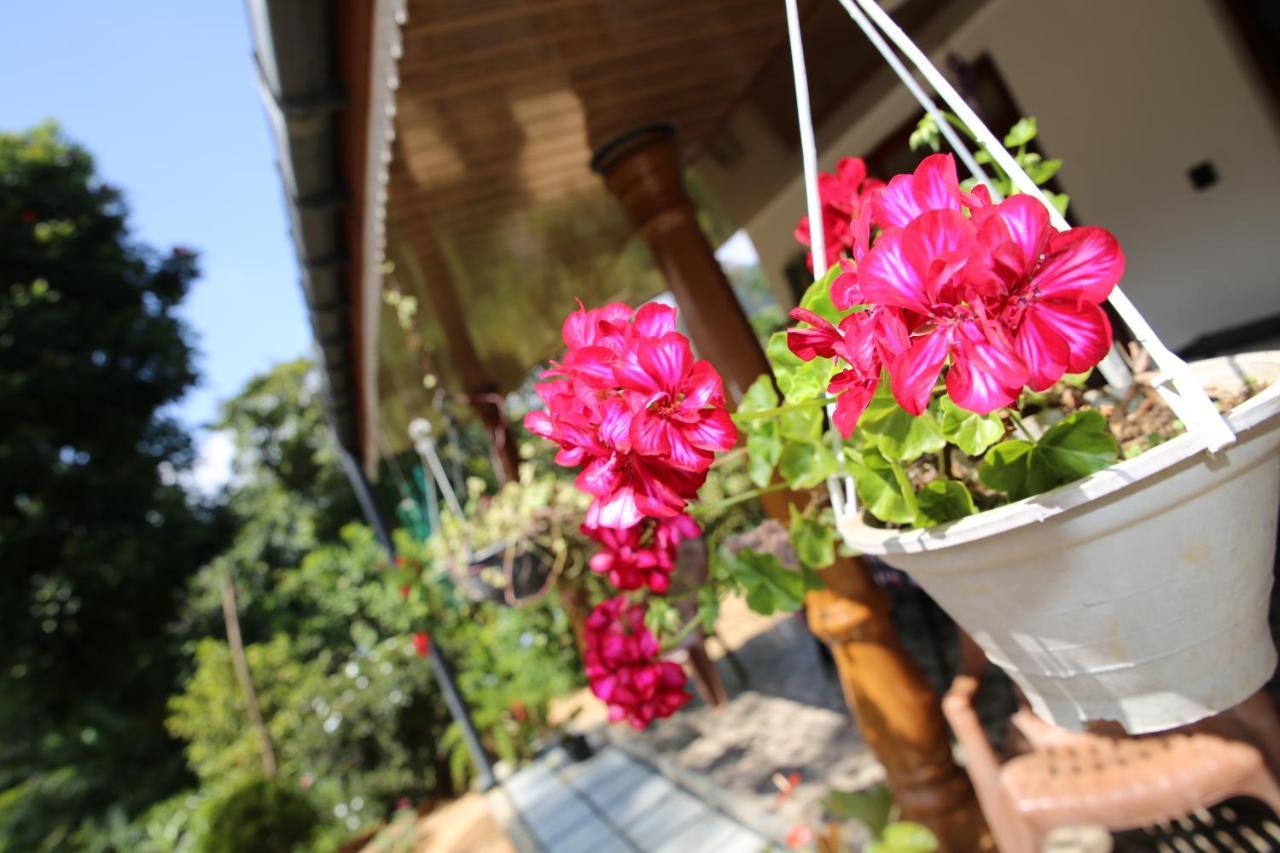 Cinnamon Homestay エッラ エクステリア 写真